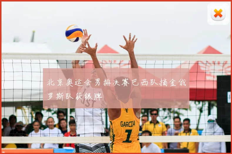 北京奥运会男排决赛巴西队摘金俄罗斯队获银牌